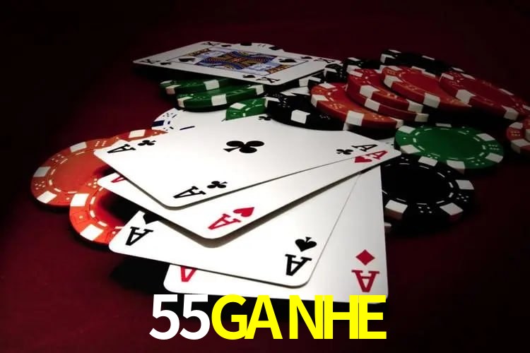 Infraestrutura 55GANHE