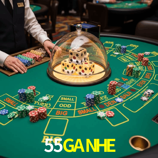 Principais provedores de slots da 55GANHE - NetEnt, Pragmatic Play, Play'n GO